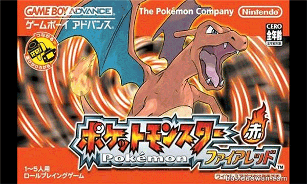 第三步:注册信息填写规范指南