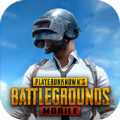 pubg国际服手机版
