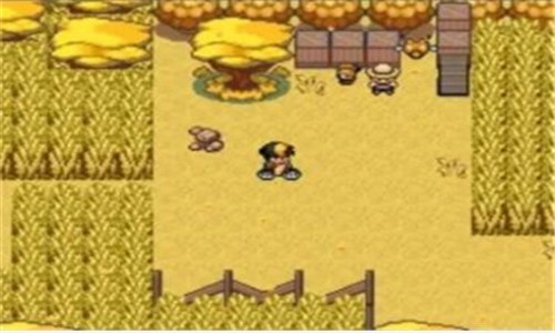 第四步:邮箱或短信验证